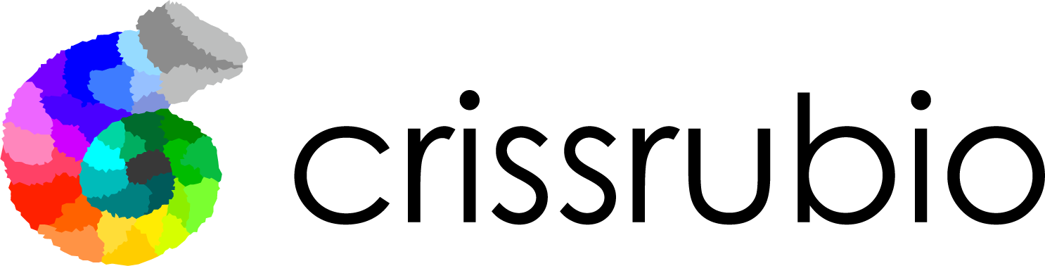 logotipo crissrubio